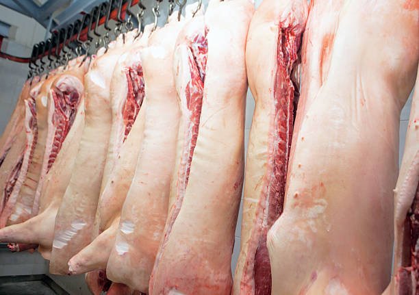 Interested in wholesale Pork? See products and request price quote or contact us.