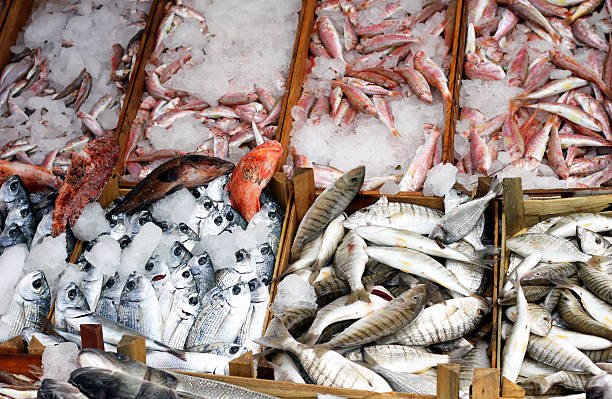 fish wholesale